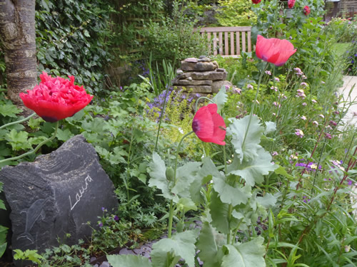 Laura's garden June 14